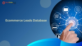 Ecommerce Leads Database
