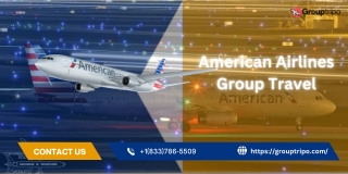 American Airlines Group Travel