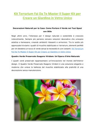 Kit Terrarium Fai Da Te Master Il Super Kit per Creare un Giardino in Vetro Unico