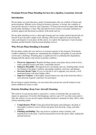 Premium Private Plane Detailing Services for a Spotless