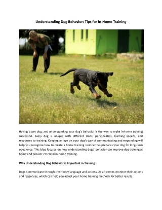 Understanding Dog Behavior_ Tips for In-Home Training (1)
