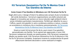 Kit Terrarium Geometrico Fai Da Te Monica Crea il Tuo Giardino da Interno