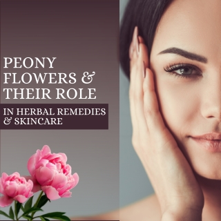The Beauty of Peony Flowers in Herbal Remedies & Skincare