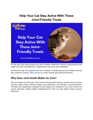 Help Your Cat Stay Active With These Joint-Friendly Treats