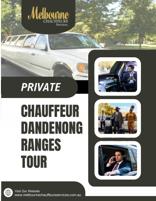 Private Chauffeur Dandenong Ranges Tour  Luxury Rides
