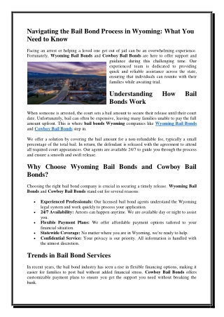 Navigating the Bail Bond Process in Wyoming What You Need to Know