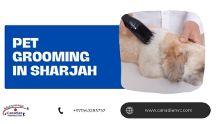 pet grooming in sharjah
