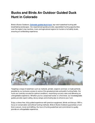 Bucks and Birds An Outdoor Guided Duck Hunt in Colorado