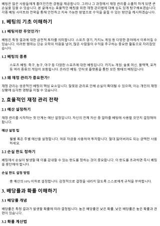효율적인 베팅을 위한 재정 관리법 연구하기