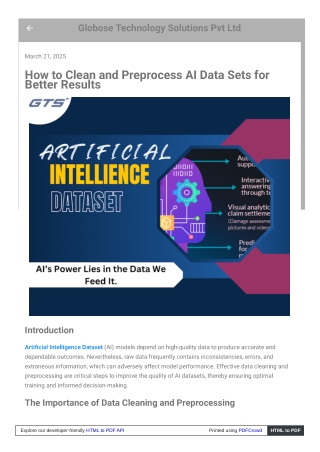How to Clean and Preprocess AI Data Sets for Better Results