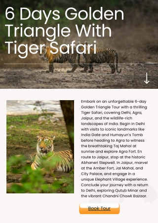 6 Days Golden Triangle With Tiger Safari
