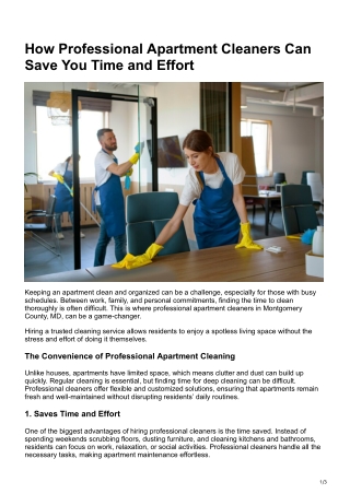 How Professional Apartment Cleaners Can Save You Time and Effort