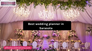 Best wedding planner in Sarasota