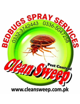 Bedbugs spray service in Islamabad, Rawalpindi,Lahore, Karachi
