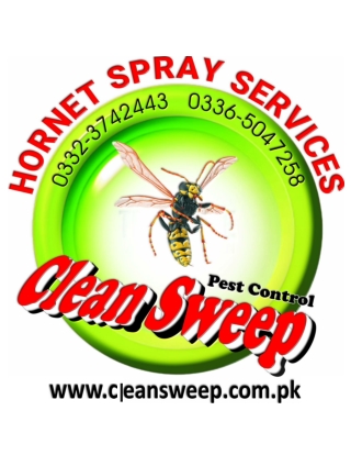 Hornet Exterminator in Islamabad, Rawalpindi, Lahore, Karachi, Multan