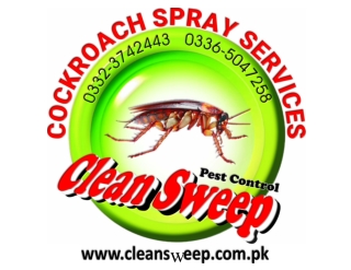 Kitchen Cockroach spray service in Rawalpindi, Islamabad, Lahore, Karachi
