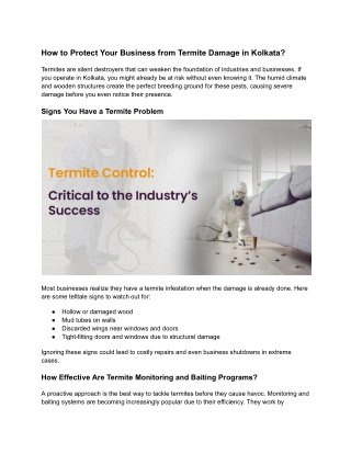 How to Protect Your Business from Termite Damage in Kolkata