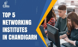 CCNA Course in Chandigarh - Master Networking with CBITSS