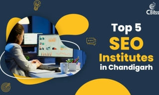 SEO Institutes in Chandigarh - Master Digital Marketing with CBITSS