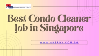 Best Condo Cleaner Job in Singapore - www.anergy.com.sg