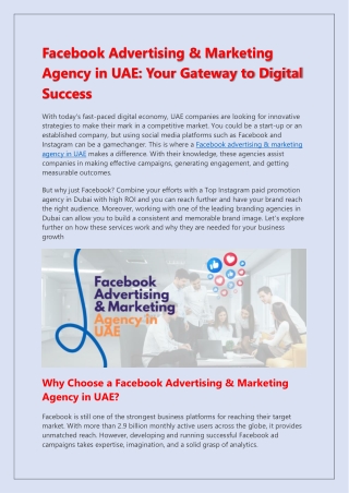 Facebook Advertising & Marketing Agency in UAE-2