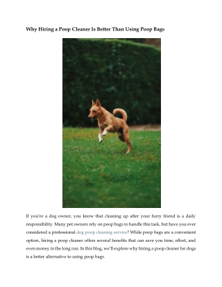 Why Hiring a Poop Cleaner Is Better Than Using Poop Bags