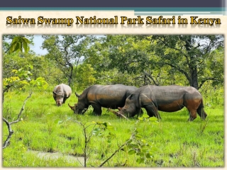Saiwa Swamp National Park Safari in Kenya