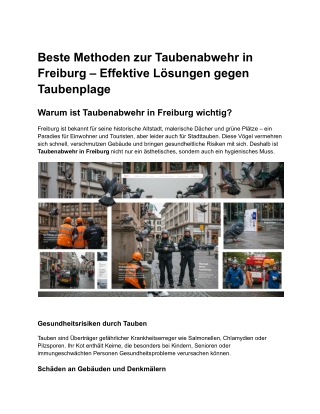 Beste Methoden zur Taubenabwehr in Freiburg – Effektive Lösungen gegen Taubenplage