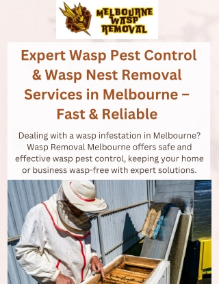 Professional Wasp Removal Melbourne – Expert Wasp Exterminator & Nest Removal