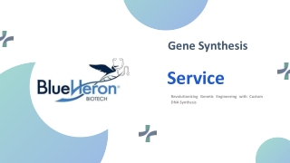 Custom Gene Synthesis Services – Fast, Accurate, and Affordable