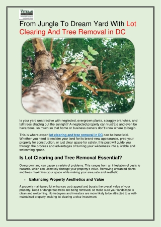 From Jungle To Dream Yard With Lot Clearing And Tree Removal in DC