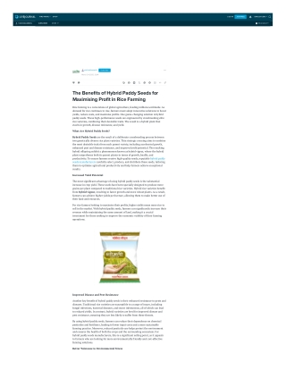 The Benefits of Hybrid Paddy Seeds for Maximising Profit in Rice Farming