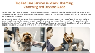 Top Pet Care Services in Miami: Boarding, Grooming and Daycare Guide