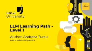 H2O ai Large Language Models (LLMs) - Level 1 - Presentation Slides