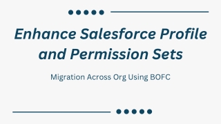 Enhance Salesforce Profile and Permission Sets Migration Across Org Using BOFC