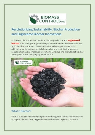 Revolutionizing Sustainability Biochar Production and Engineered Biochar Innovations