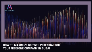 How to Maximize Growth Potential for Your Freezone Company in Dubai
