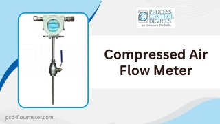 Compressed Air Flow Meter with Digital Display & Data Logger - PCD