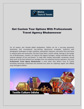 Get Custom Tour Options With Professionals Travel Agency Bhubaneswar