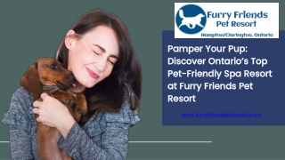 Pamper Your Pup Discover Ontario’s Top Pet-Friendly Spa Resort at Furry Friends Pet Resort