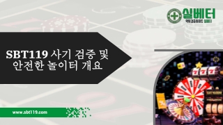 SBT119 사기 검증 및 안전한 놀이터 개요