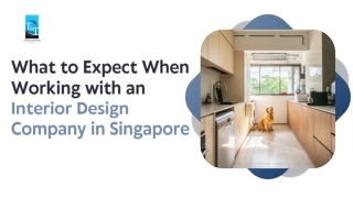 What to Expect When Working with an Interior Design Company in Singapore