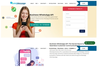 Quick message The Future of WhatsApp Business API Integration