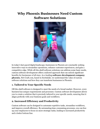 Why Phoenix Businesses Need Custom Software Solutions