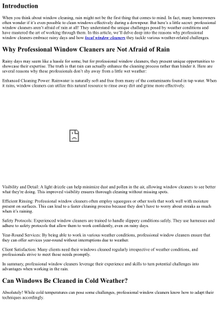 Why Professional Window Cleaners are Not Afraid of Rain