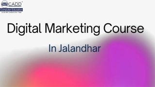 Best Digital Marketing Course in Jalandhar