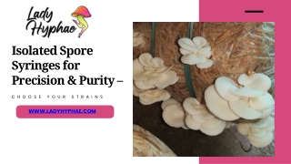 Isolated Spore Syringes for Precision & Purity – Choose Your Strains