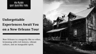 Exciting New Orleans Tour Experience