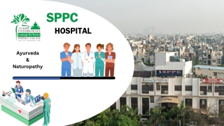 Knee Pain Treatment In Delhi