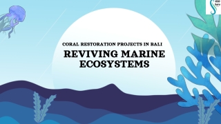 Ocean Conservation Efforts in Indonesia Challenges and Opportunities.